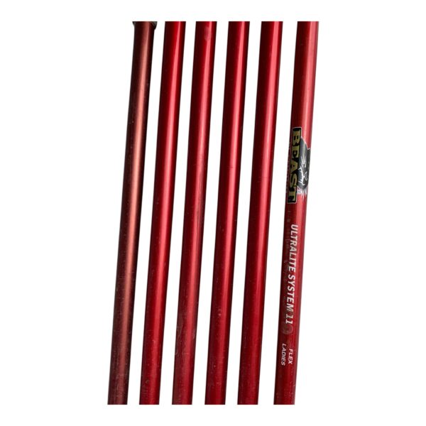 Beast Platinium OS Jernsæt / Flex Ladies / 6-SW  / Grafit - Billede 4