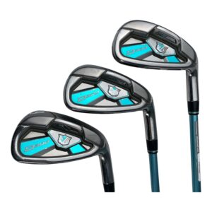 Wilson Staff D300 Iron Set / Flex Ladies / 7-SW / Graphite